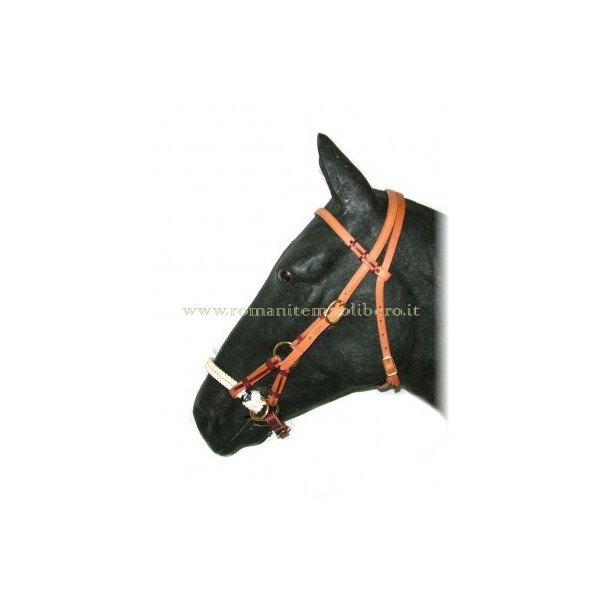 Side-Pull Bitless Bridle